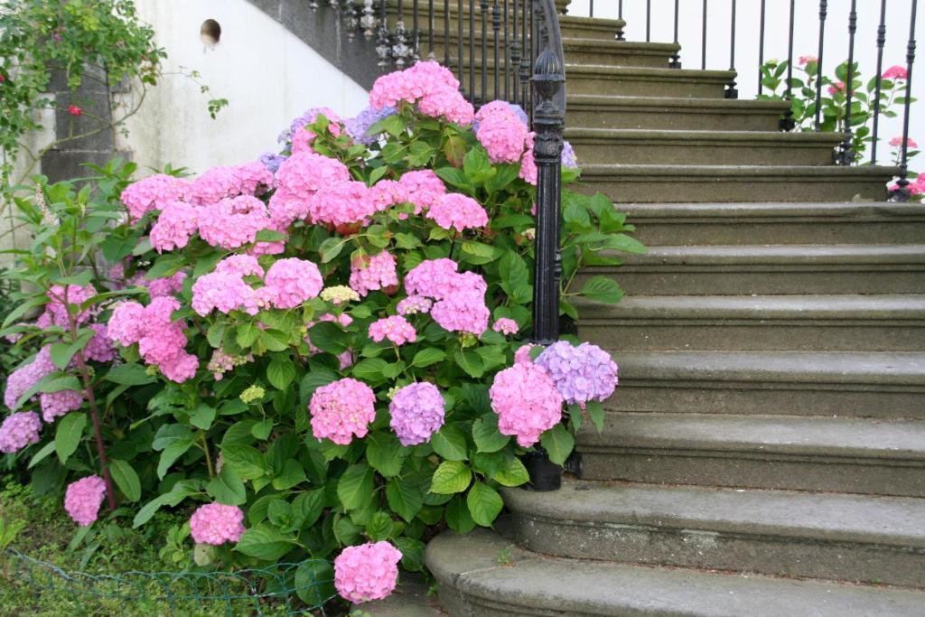 Manoir De La Manantie - Teritoria Bed and Breakfast Lezoux Eksteriør billede